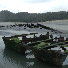 The hull of an 100+ year old shipwreck.
